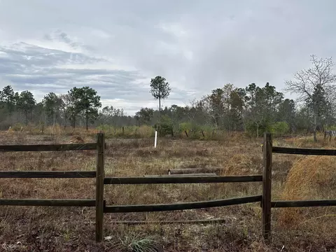 Undisclosed, Roberta, GA 31078 photo 29