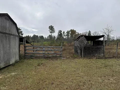 Undisclosed, Roberta, GA 31078 photo 30