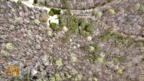 823 Frank Arrowood Rd, Cornelia, GA 30531 photo 7