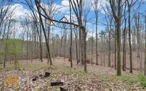 5785 Mize Rd, Toccoa, GA 30577 photo 32
