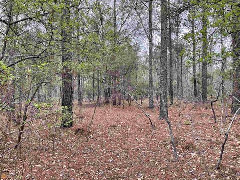 77 Gable, Rupert, GA 31081 photo 7