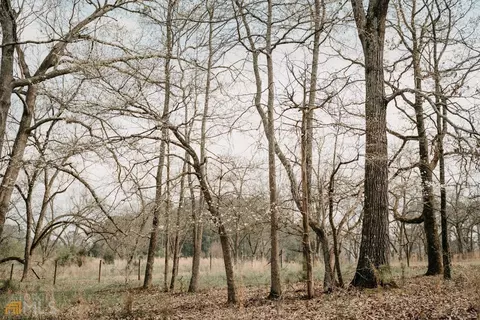 602 Moccasin Gap Rd, Jackson, GA 30233 photo 30
