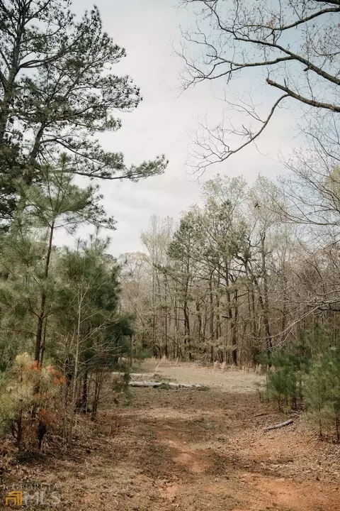 602 Moccasin Gap Rd, Jackson, GA 30233 photo 31