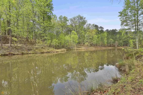 466 Pates Lake Ct, Hampton, GA 30228 photo 45