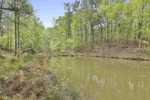 466 Pates Lake Ct, Hampton, GA 30228 photo 46