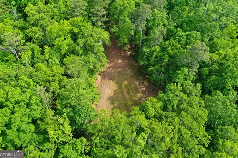 0 Watson Spur Rd, Georgetown, GA 39854 photo 12
