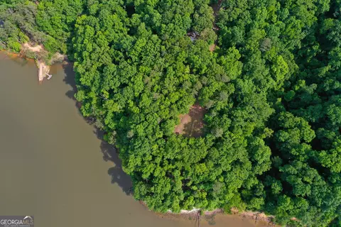 0 Watson Spur Rd, Georgetown, GA 39854 photo 14