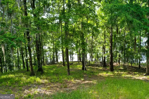 0 Watson Spur Rd, Georgetown, GA 39854 photo 18