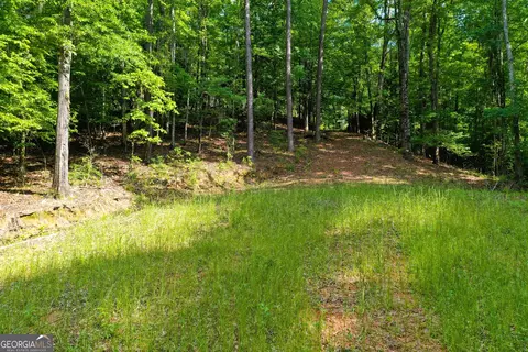 0 Watson Spur Rd, Georgetown, GA 39854 photo 20