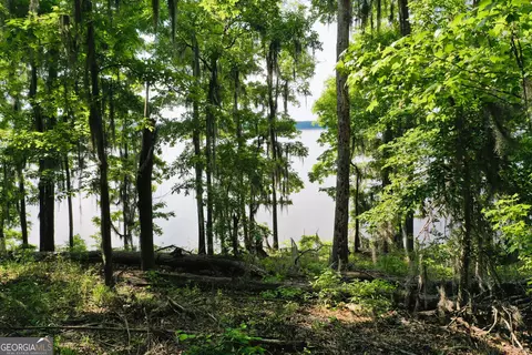 0 Watson Spur Rd, Georgetown, GA 39854 photo 22