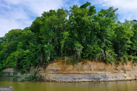0 Watson Spur Rd, Georgetown, GA 39854 photo 10