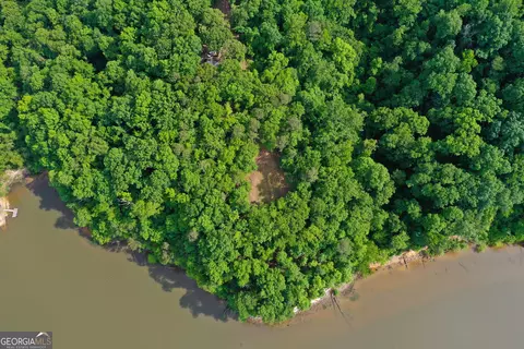 0 Watson Spur Rd, Georgetown, GA 39854 photo 13