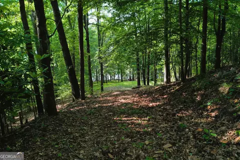 0 Watson Spur Rd, Georgetown, GA 39854 photo 32