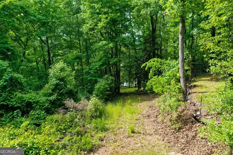 0 Watson Spur Rd, Georgetown, GA 39854 photo 2