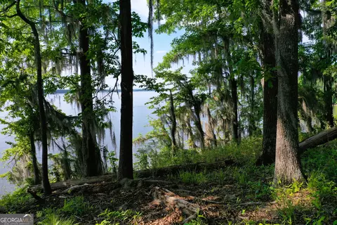 0 Watson Spur Rd, Georgetown, GA 39854 photo 24