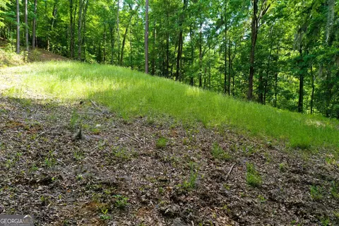 0 Watson Spur Rd, Georgetown, GA 39854 photo 21