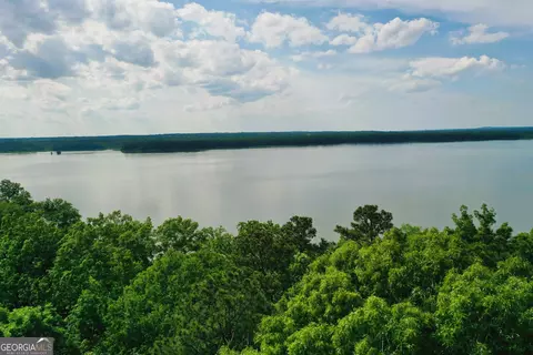 0 Watson Spur Rd, Georgetown, GA 39854 photo 3