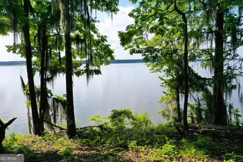 0 Watson Spur Rd, Georgetown, GA 39854 photo 23
