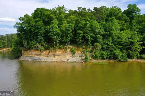0 Watson Spur Rd, Georgetown, GA 39854 photo 8