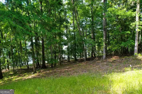 0 Watson Spur Rd, Georgetown, GA 39854 photo 19