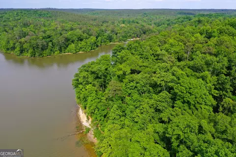 0 Watson Spur Rd, Georgetown, GA 39854 photo 4