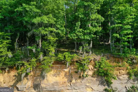 0 Watson Spur Rd, Georgetown, GA 39854 photo 27