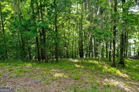 0 Watson Spur Rd, Georgetown, GA 39854 photo 17