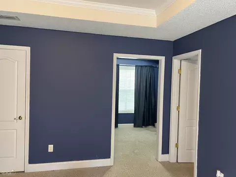 336 Noel Way, Hampton, GA 30228 photo 21