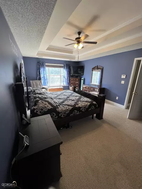 336 Noel Way, Hampton, GA 30228 photo 19