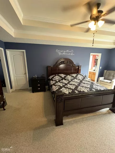 336 Noel Way, Hampton, GA 30228 photo 20