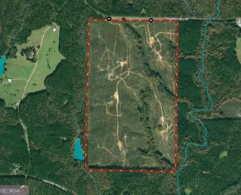 247 86 Ac Barnes Mill Rd, Hamilton, GA 31811