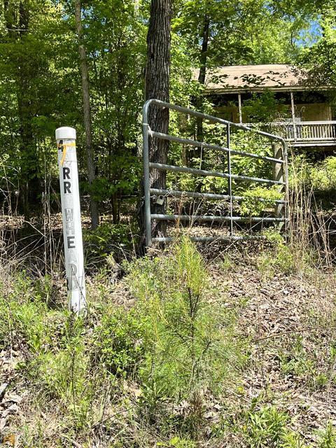 49 Arrowhead Rd, Georgetown, GA 39854 photo 35