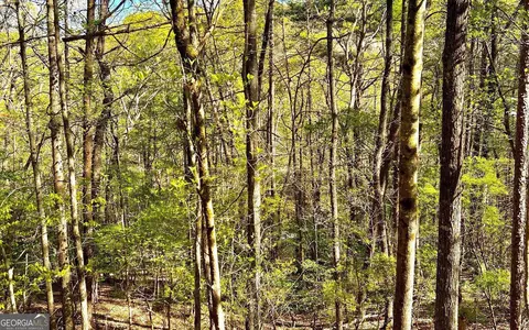 0 Summit Ln #LT 356, Ellijay, GA 30540