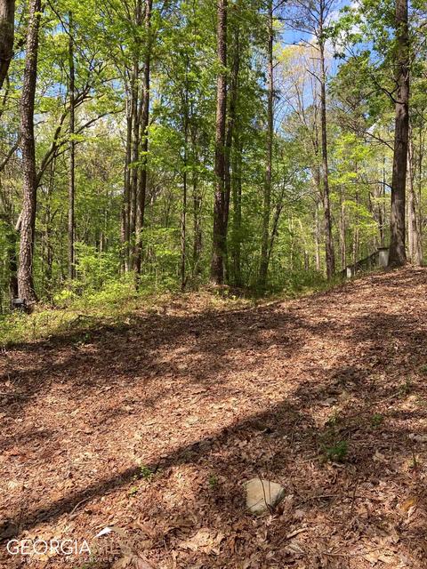 1520 Mcconnell Rd, Grayson, GA 30017 photo 3