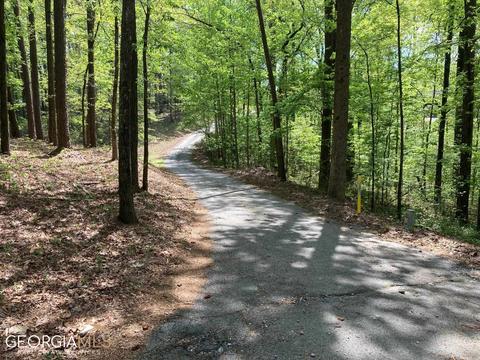 1520 Mcconnell Rd, Grayson, GA 30017 photo 4