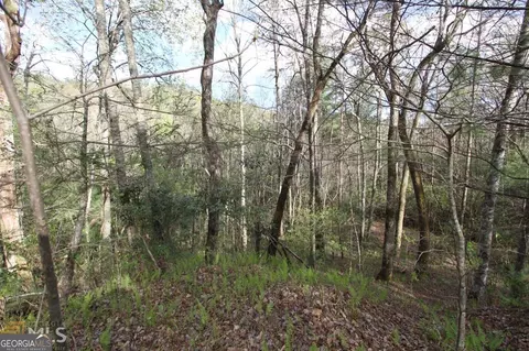 0 Shadow Mtn #33, Dillard, GA 30537 photo 4