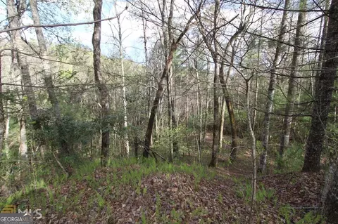 0 Shadow Mtn #33, Dillard, GA 30537 photo 3