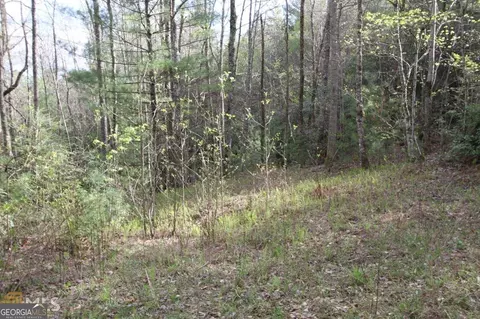 0 Shadow Mtn #33, Dillard, GA 30537 photo 2