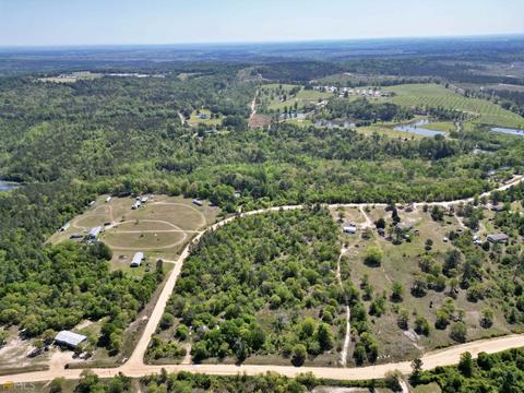 1585 Mathews Rd, Roberta, GA 31078 photo 3