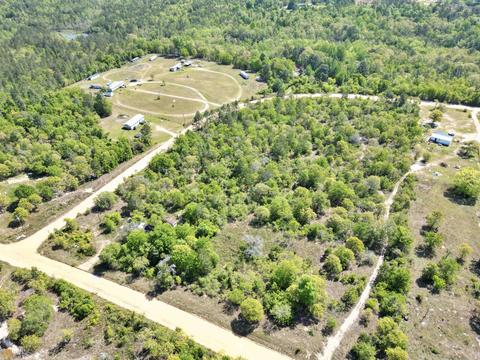 1585 Mathews Rd, Roberta, GA 31078 photo 2