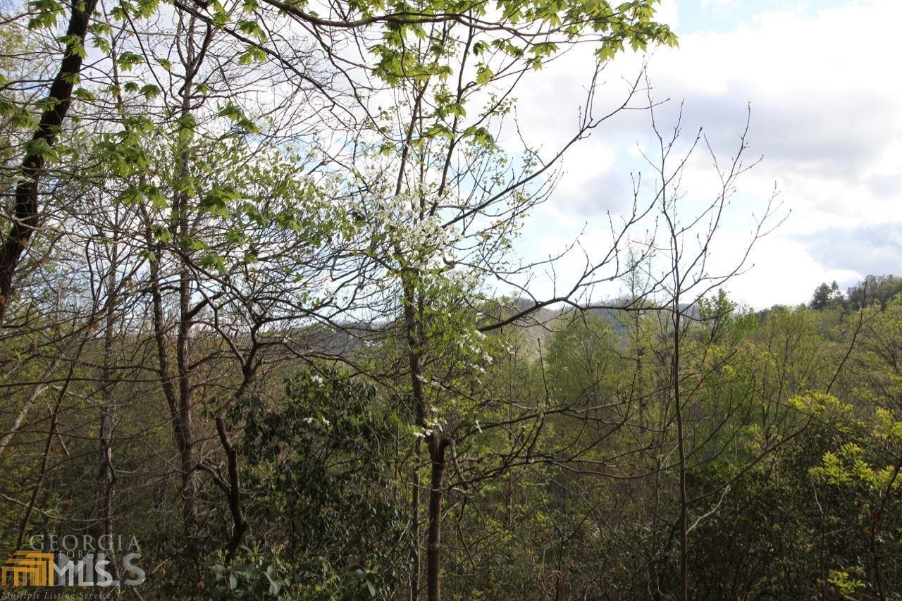 0 Shadow Mountain Dr Unit 36