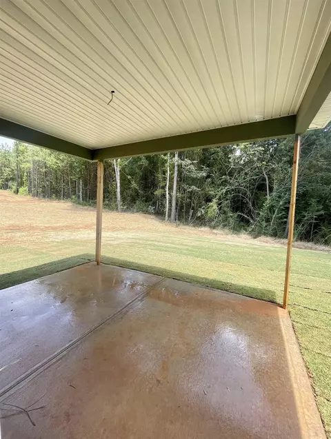 23 Strickland Loop, Forsyth, GA 31029 photo 8