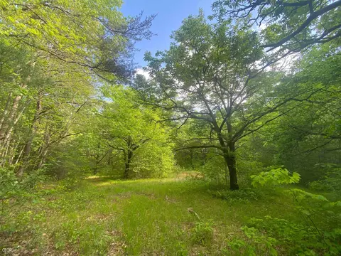 741 Harkins Rd #TRACT A, Cleveland, GA 30528
