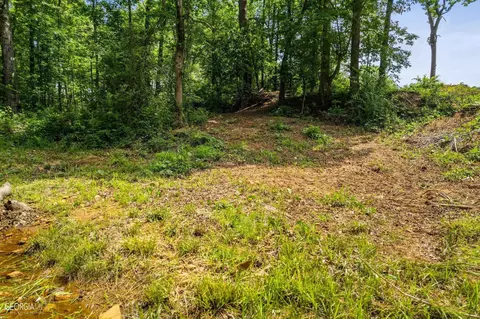 182 County Rd 129, Ranburne, AL 36273 photo 6