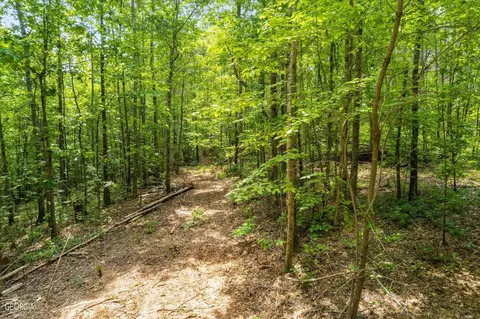 182 County Rd 129, Ranburne, AL 36273 photo 4