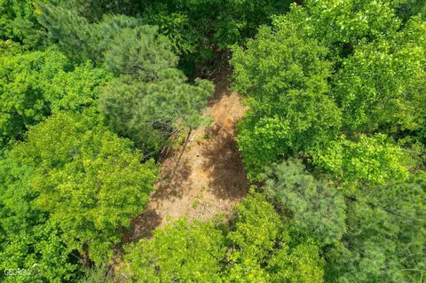 182 County Rd 129, Ranburne, AL 36273 photo 9