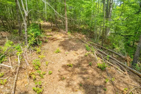 182 County Rd 129, Ranburne, AL 36273 photo 10