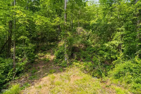 182 County Rd 129, Ranburne, AL 36273 photo 5