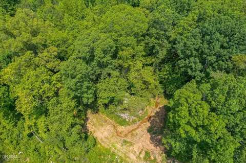 182 County Rd 129, Ranburne, AL 36273 photo 3