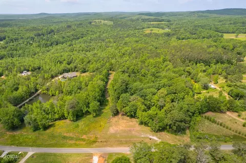 182 County Rd 129, Ranburne, AL 36273 photo 8